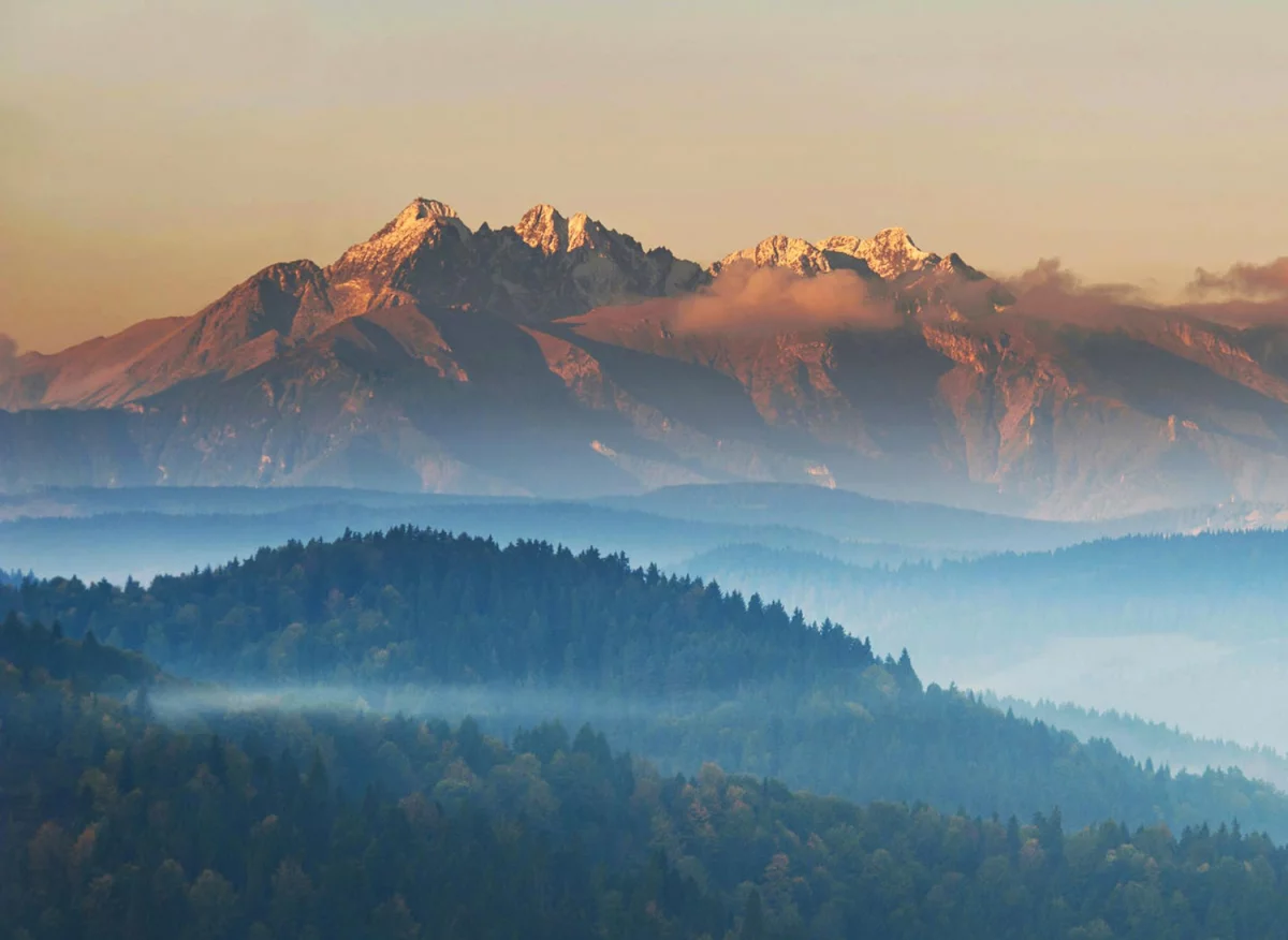 Czy żeby opublikować artykuły sponsorowane potrzebne są studia?