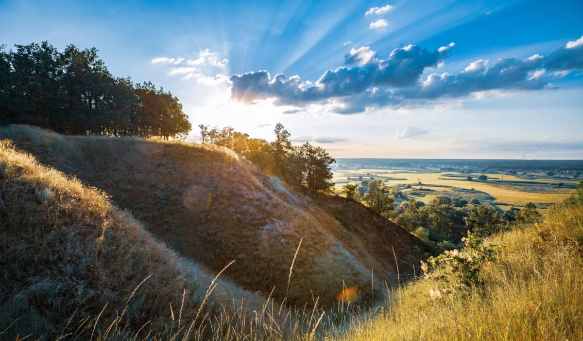 Wycena tego jak raportować do cbam