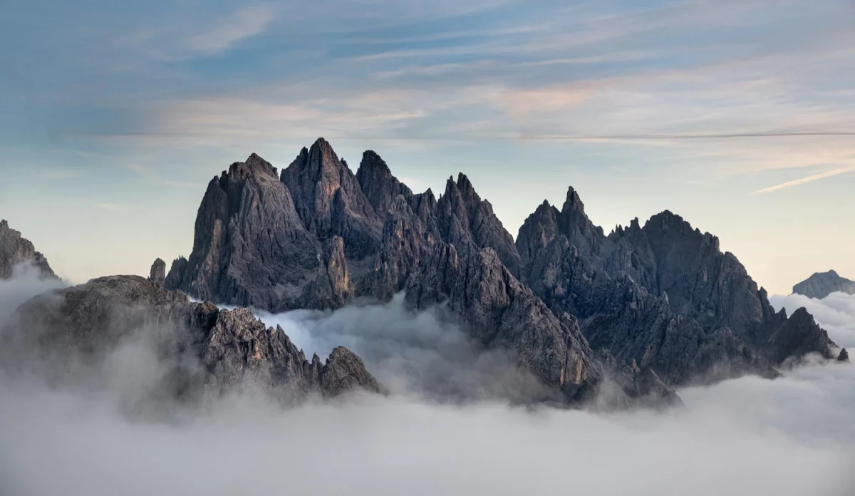 Podstawowe informacje na temat kuchni wegańskiej