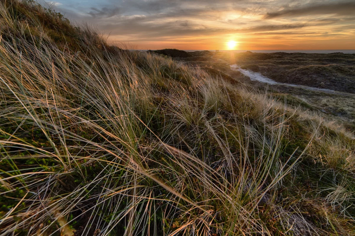 Przeczytaj ten wpis a dowiesz się jak wykorzystać technologię