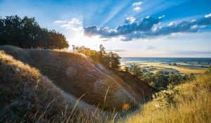 4 Sprawdzonych Sposobów Aby kupić para cord
