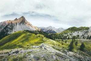 Jak zlecić outsourcing środowiskowy i zarobić?